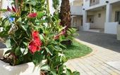 Туры в отель Donnosanto Hotel
