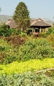 Туры в отель Lisu Lodge