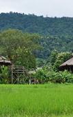 Туры в отель Lisu Lodge