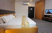 Туры в отель Flemington Hotel
