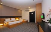 Туры в отель Flemington Hotel