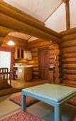 Туры в отель Kusatsu Onsen Hotel Village