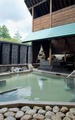 Туры в отель Kusatsu Onsen Hotel Village