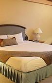 Туры в отель Twin Lotus Hotel