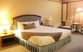 Туры в отель Twin Lotus Hotel