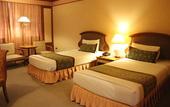 Туры в отель Twin Lotus Hotel