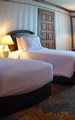Туры в отель Twin Lotus Hotel