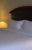 Туры в отель Twin Lotus Hotel
