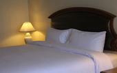 Туры в отель Twin Lotus Hotel