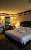 Туры в отель Twin Lotus Hotel