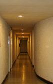 Туры в отель Twin Lotus Hotel
