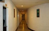 Туры в отель Twin Lotus Hotel