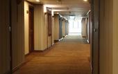 Туры в отель Twin Lotus Hotel