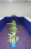Туры в отель Twin Lotus Hotel