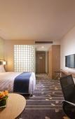 Туры в отель Holiday Inn Express CHONGQING UNIVERSITY TOWN by IHG