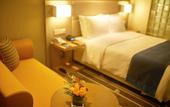 Туры в отель Holiday Inn Express CHONGQING UNIVERSITY TOWN by IHG