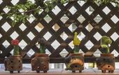 Туры в отель B&B Cerasiello
