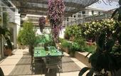 Туры в отель B&B Cerasiello