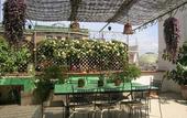 Туры в отель B&B Cerasiello