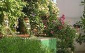 Туры в отель B&B Cerasiello