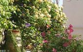 Туры в отель B&B Cerasiello