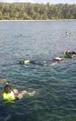 Туры в отель Jungle Koh Kood Resort