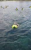 Туры в отель Jungle Koh Kood Resort
