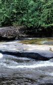 Туры в отель Jungle Koh Kood Resort