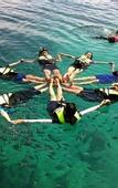 Туры в отель Jungle Koh Kood Resort