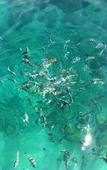 Туры в отель Jungle Koh Kood Resort