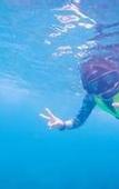 Туры в отель Jungle Koh Kood Resort