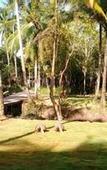 Туры в отель Jungle Koh Kood Resort