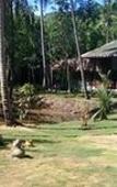 Туры в отель Jungle Koh Kood Resort