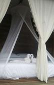 Туры в отель Jungle Koh Kood Resort