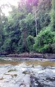 Туры в отель Jungle Koh Kood Resort