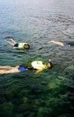 Туры в отель Jungle Koh Kood Resort