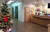 Туры в отель Bright Star Hotel