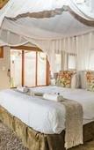 Туры в отель Raptors Lodge