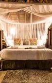 Туры в отель Raptors Lodge