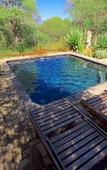 Туры в отель Raptors Lodge