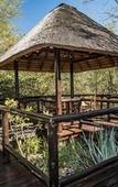 Туры в отель Raptors Lodge
