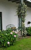 Туры в отель The Willow Historical Guest House