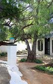 Туры в отель The Willow Historical Guest House