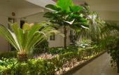 Туры в отель Hotel Casa Blanca