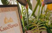 Туры в отель Hotel Casa Blanca