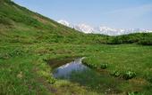 Туры в отель TOKI RESORT HAKUBA