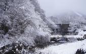 Туры в отель TOKI RESORT HAKUBA