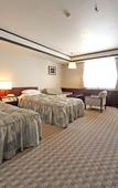 Туры в отель Gifu Grand Hotel