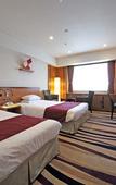 Туры в отель Gifu Grand Hotel
