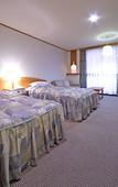 Туры в отель Gifu Grand Hotel